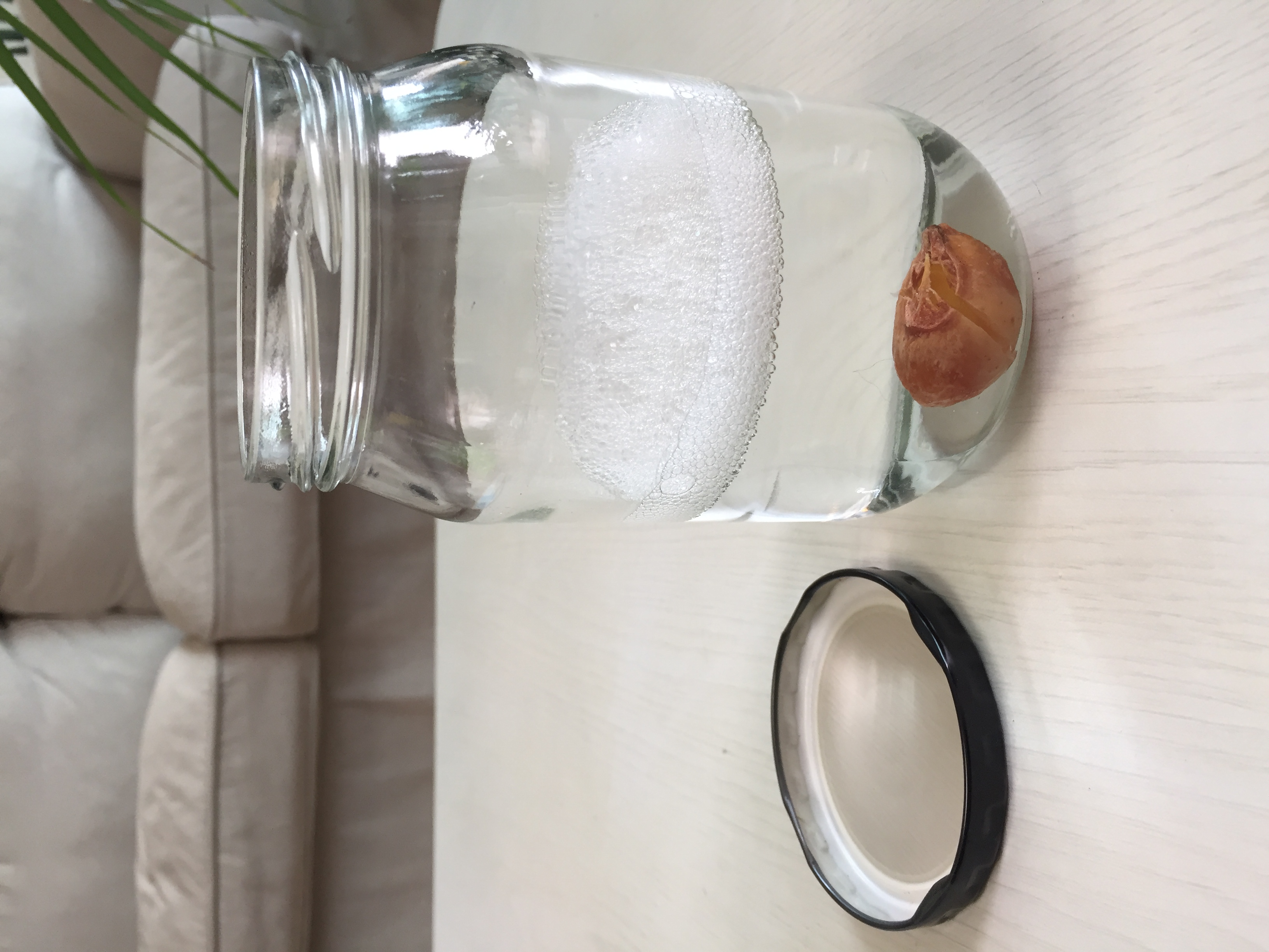 이벤트 종료)소프넛 사용후기 올려주세요~ - 지구수호특공대 - 우리숲 (교육공동체 콩세알)