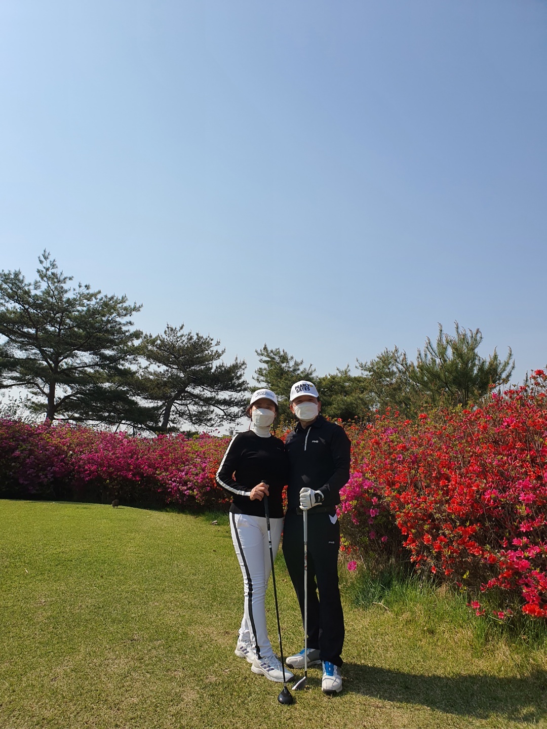 라운딩 이미지