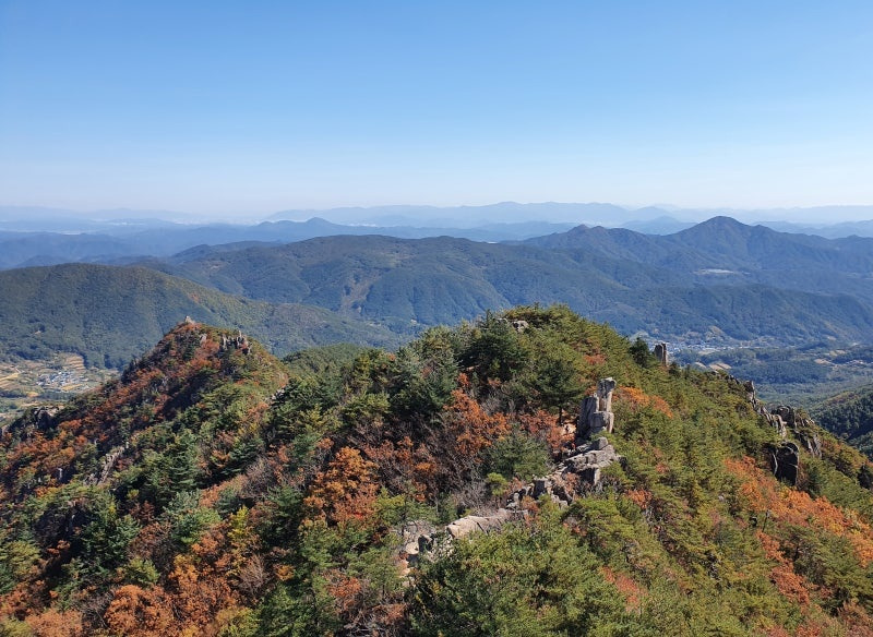 남산 이미지