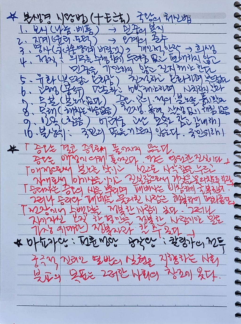 초심미트 이미지