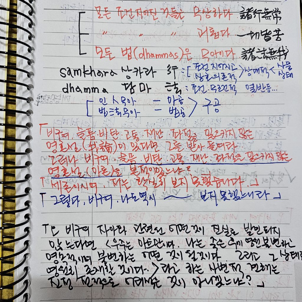 초심미트 이미지
