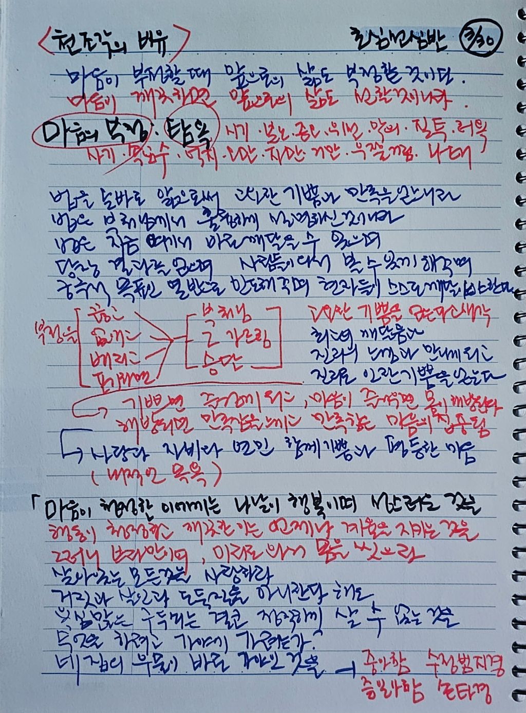 초심미트 이미지