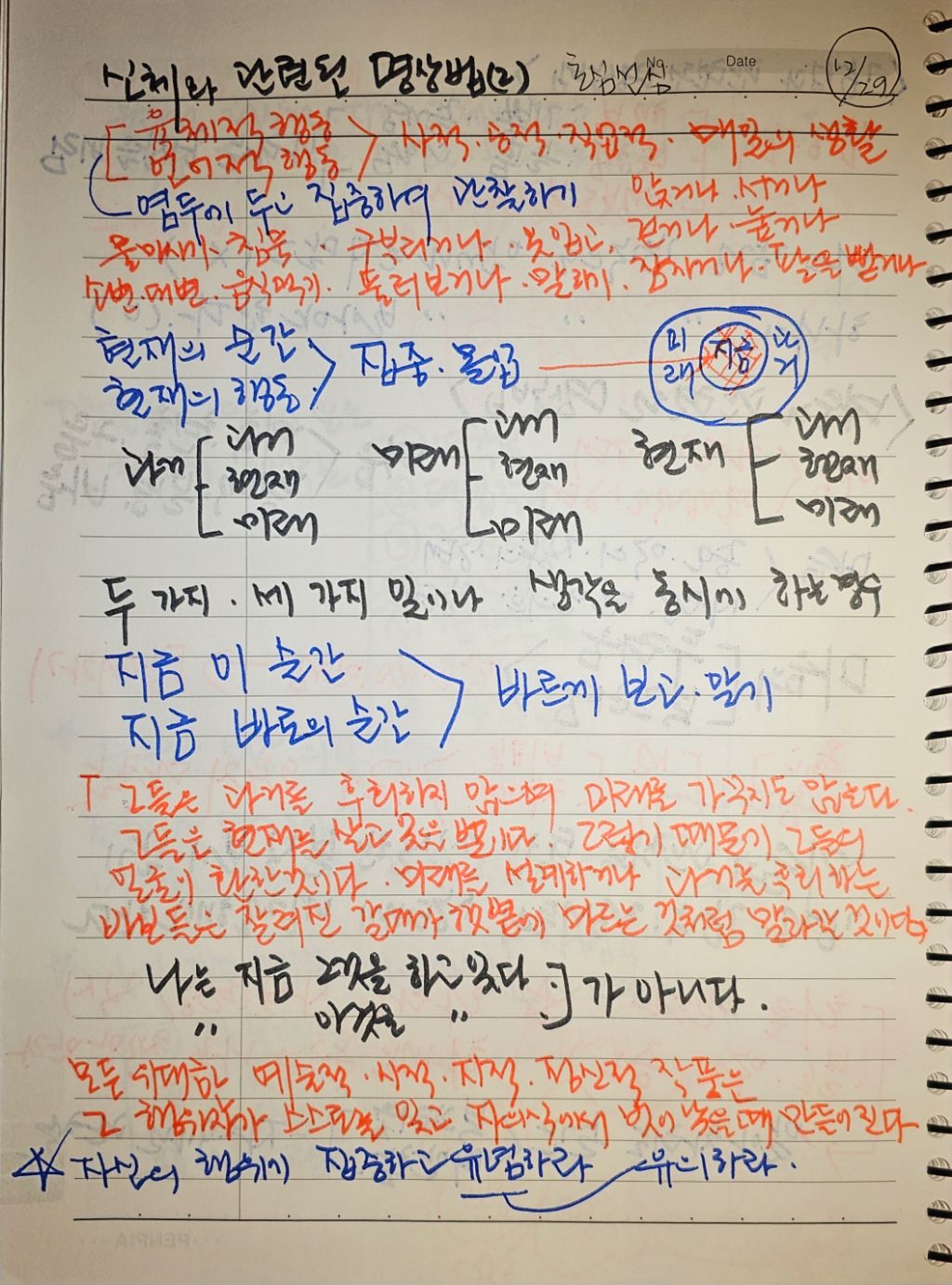 초심미트 이미지