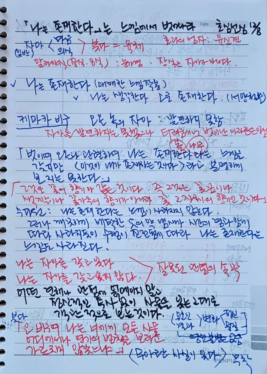 초심미트 이미지