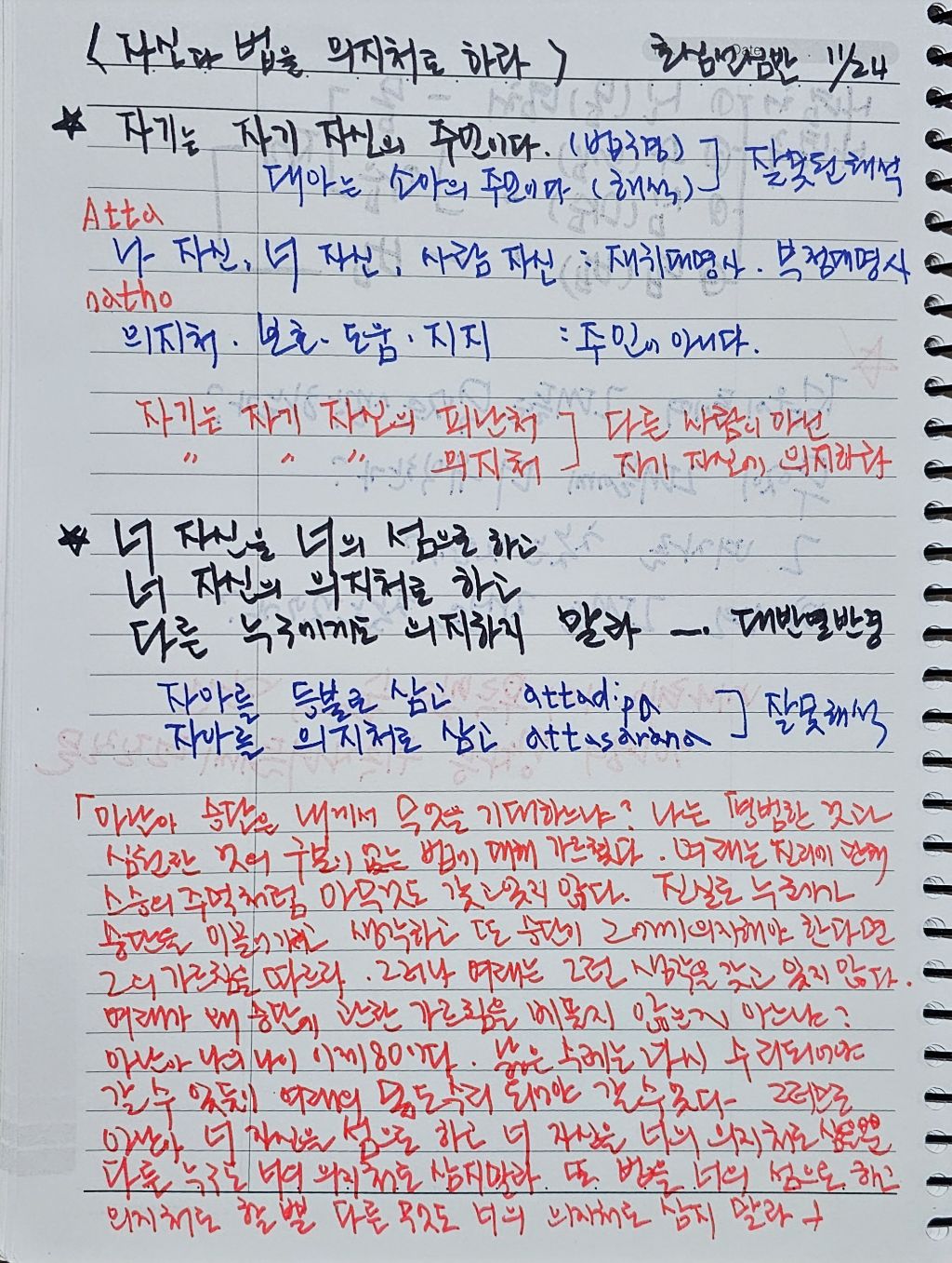 초심미트 이미지