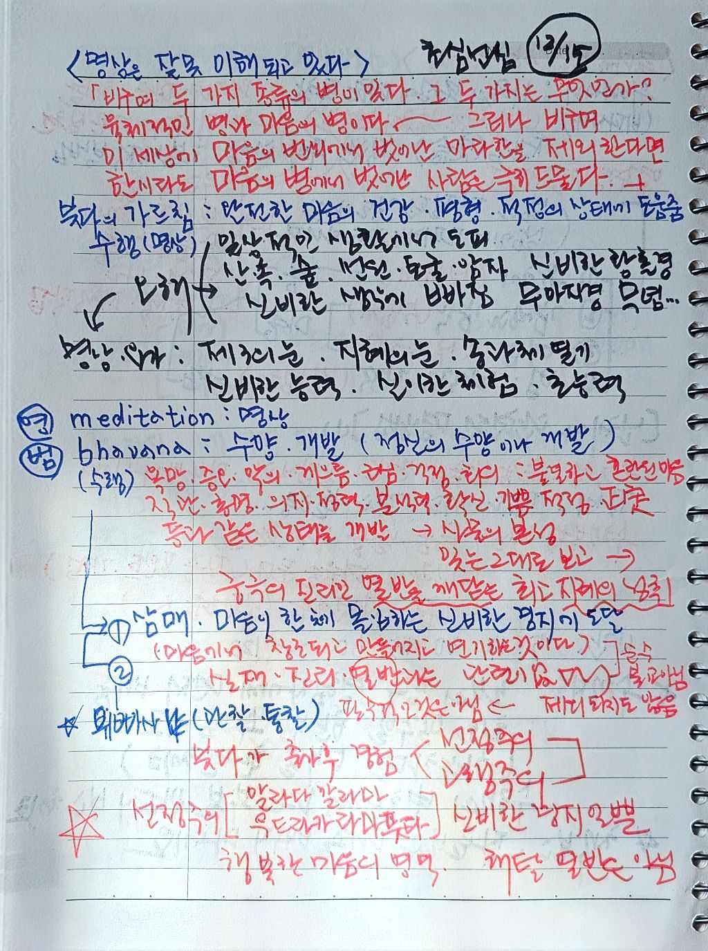 초심미트 이미지