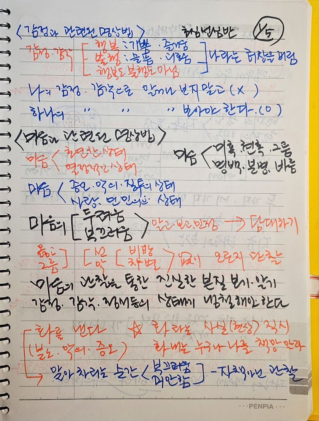 초심미트 이미지