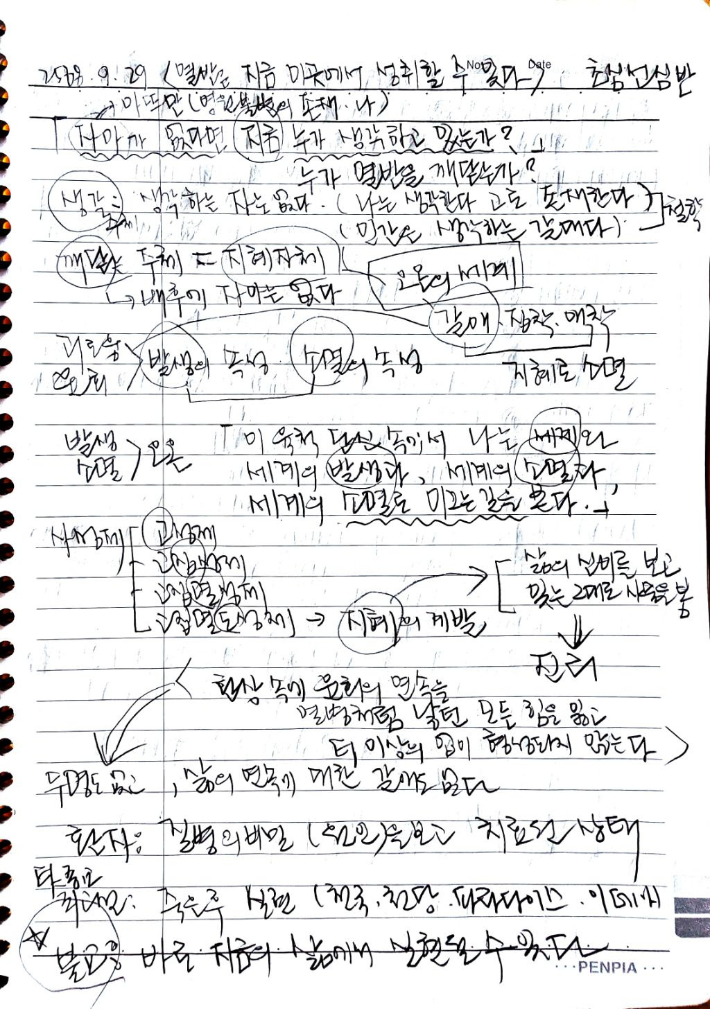 초심미트 이미지