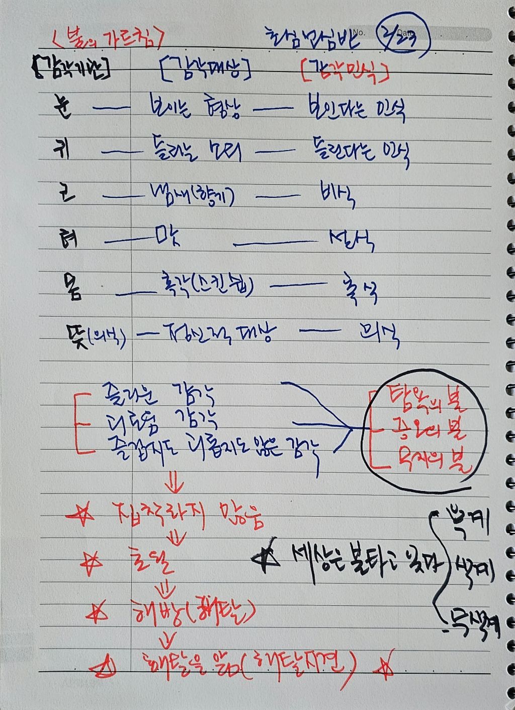 초심미트 이미지