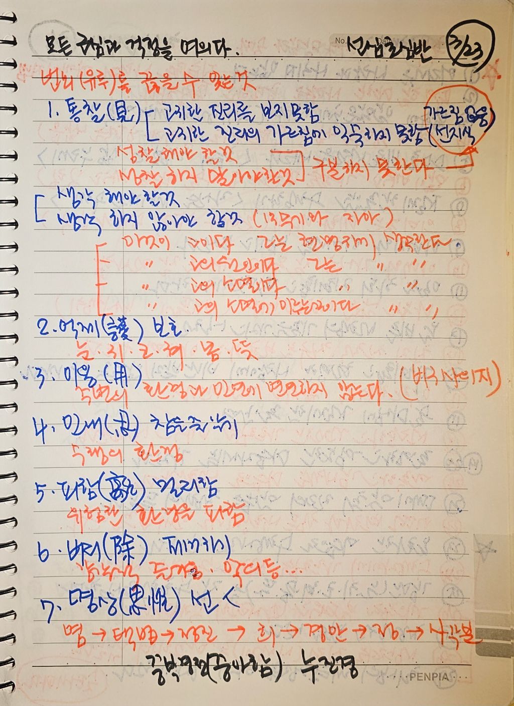 초심미트 이미지