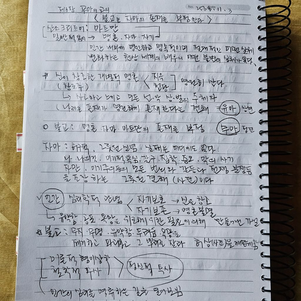 초심미트 이미지