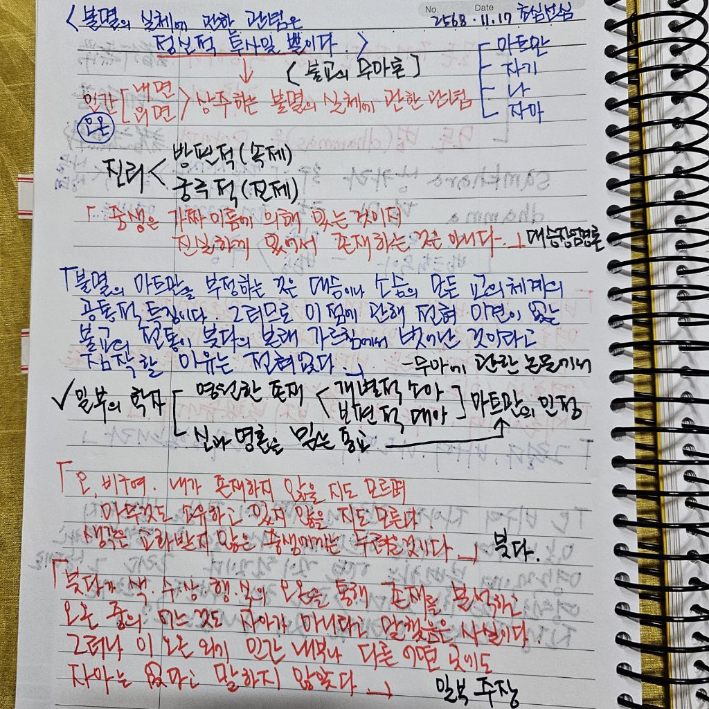 초심미트 이미지