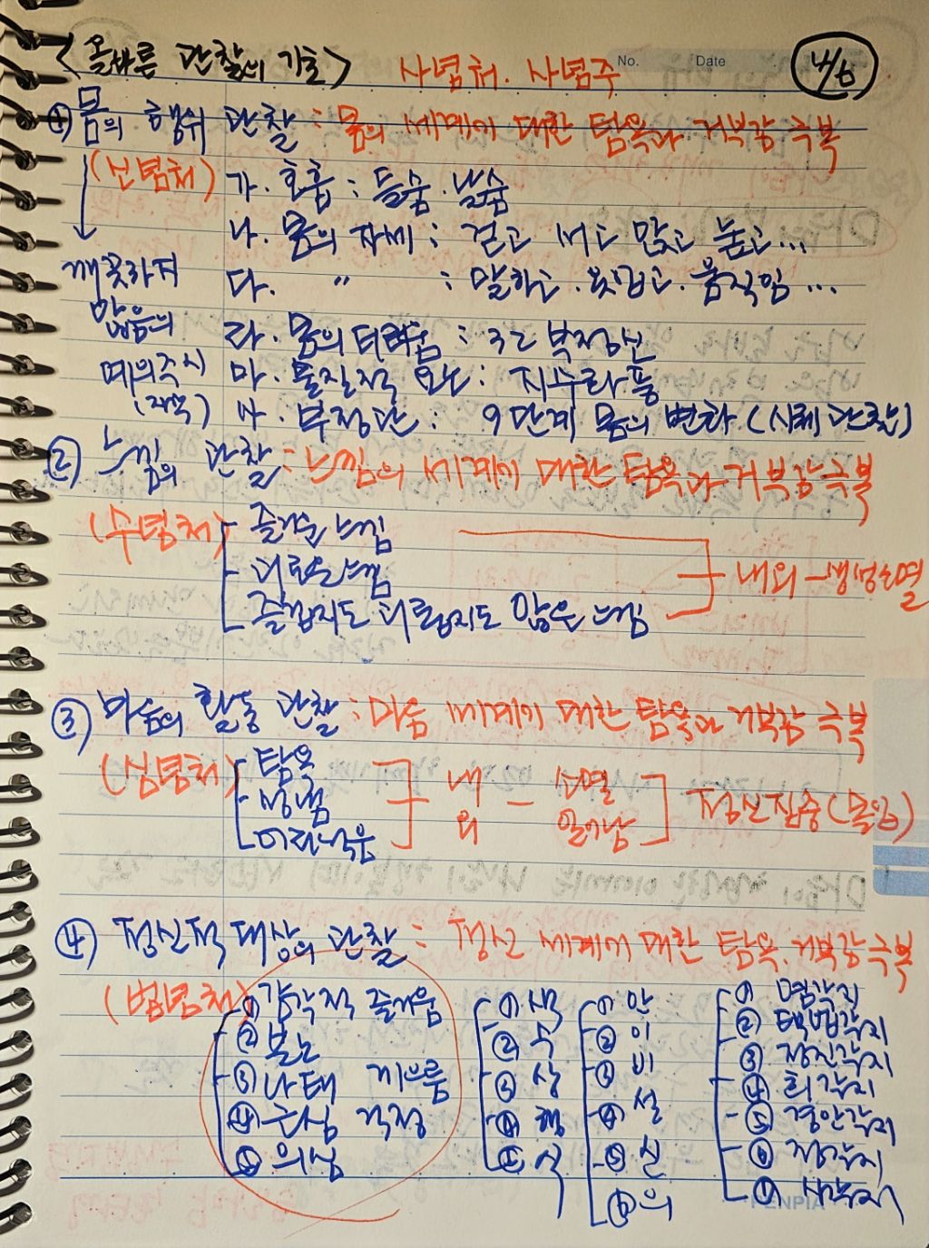 초심미트 이미지