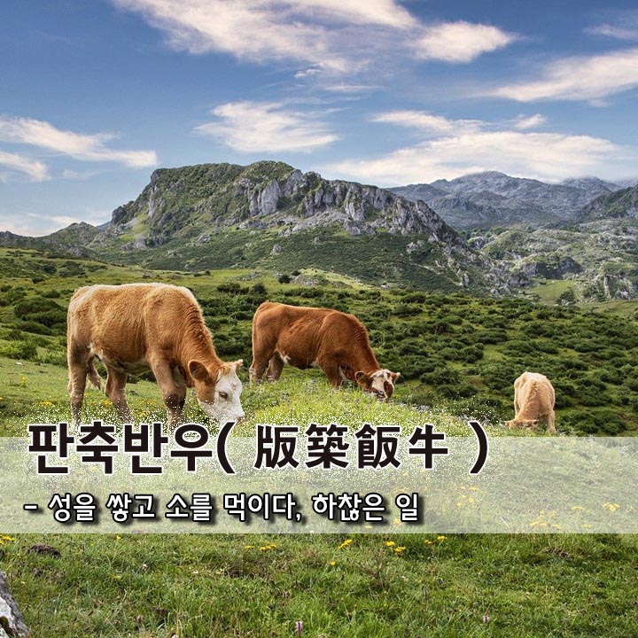 반우 이미지
