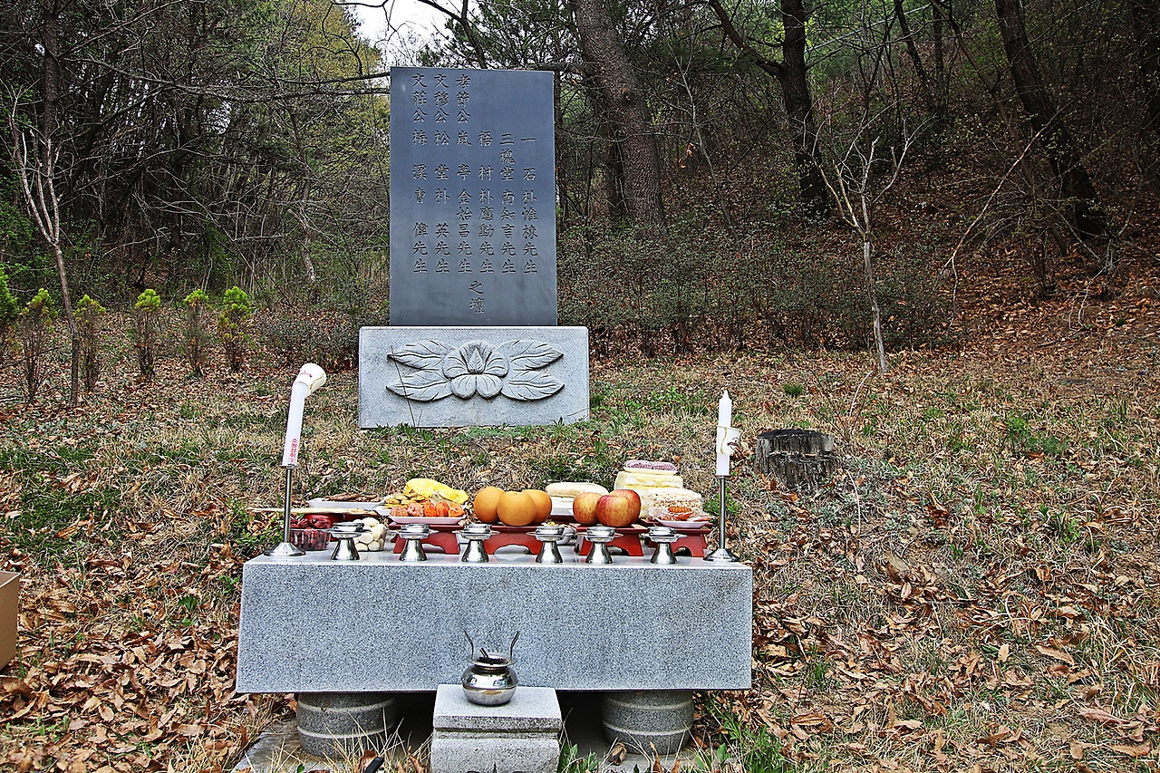육선생 이미지