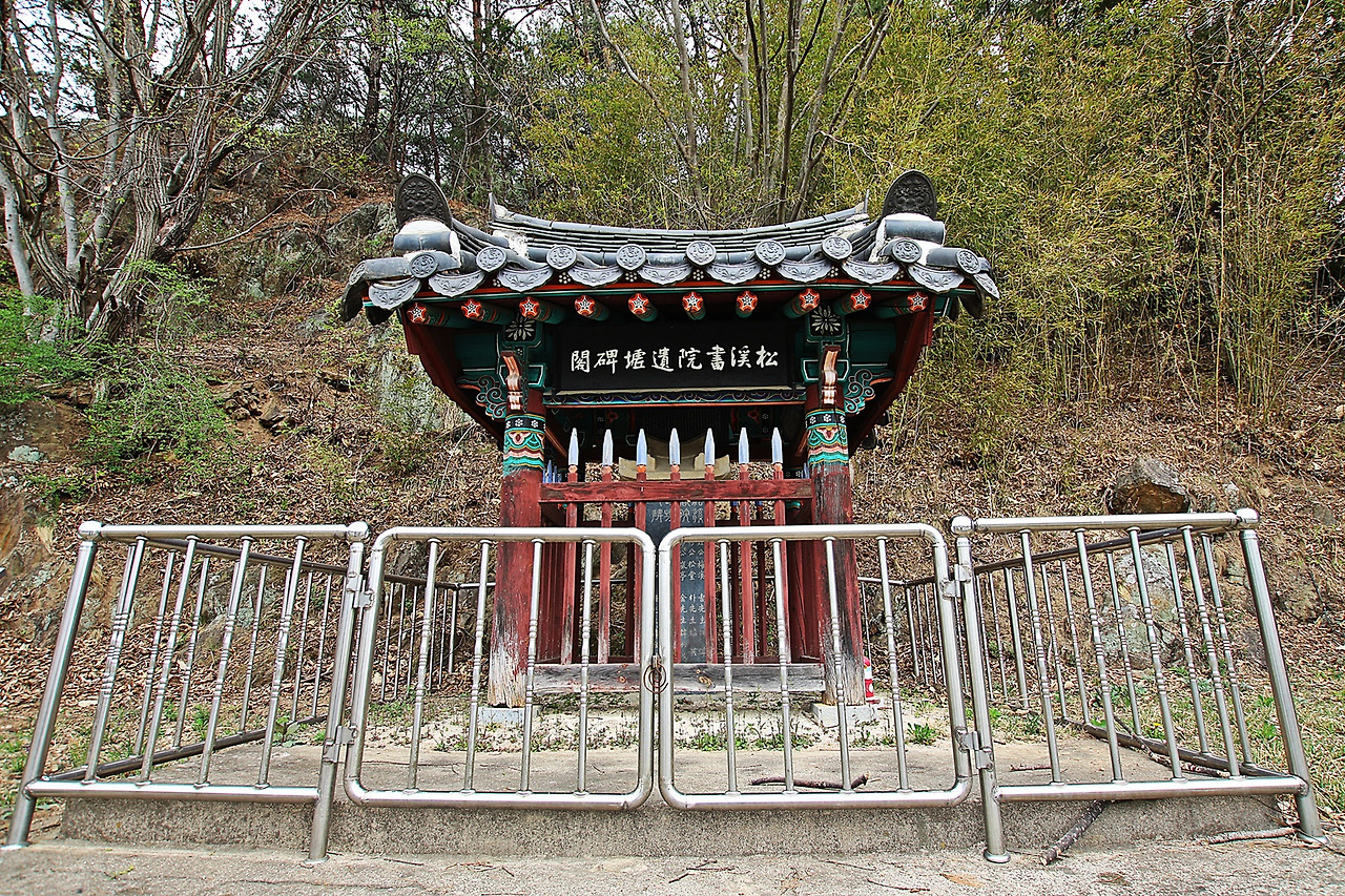 육선생 이미지