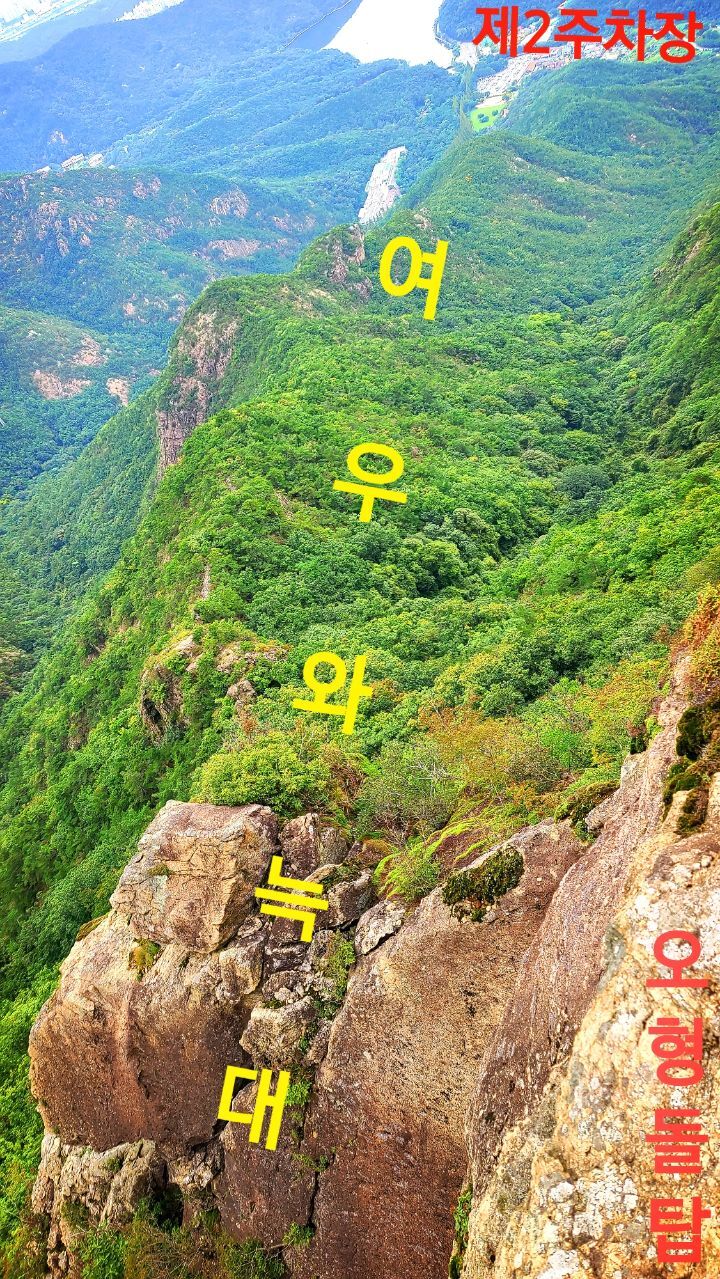여우와늑대 이미지