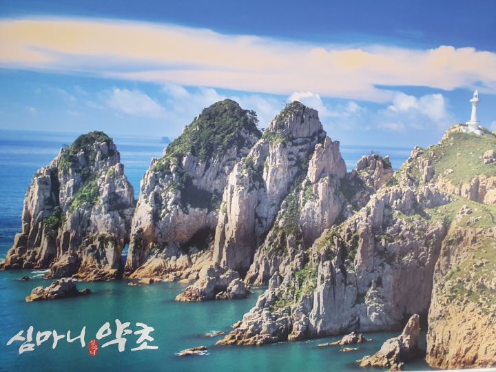 심마니백숙 이미지