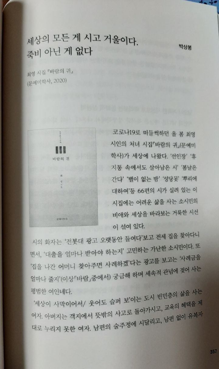 비파악기 이미지