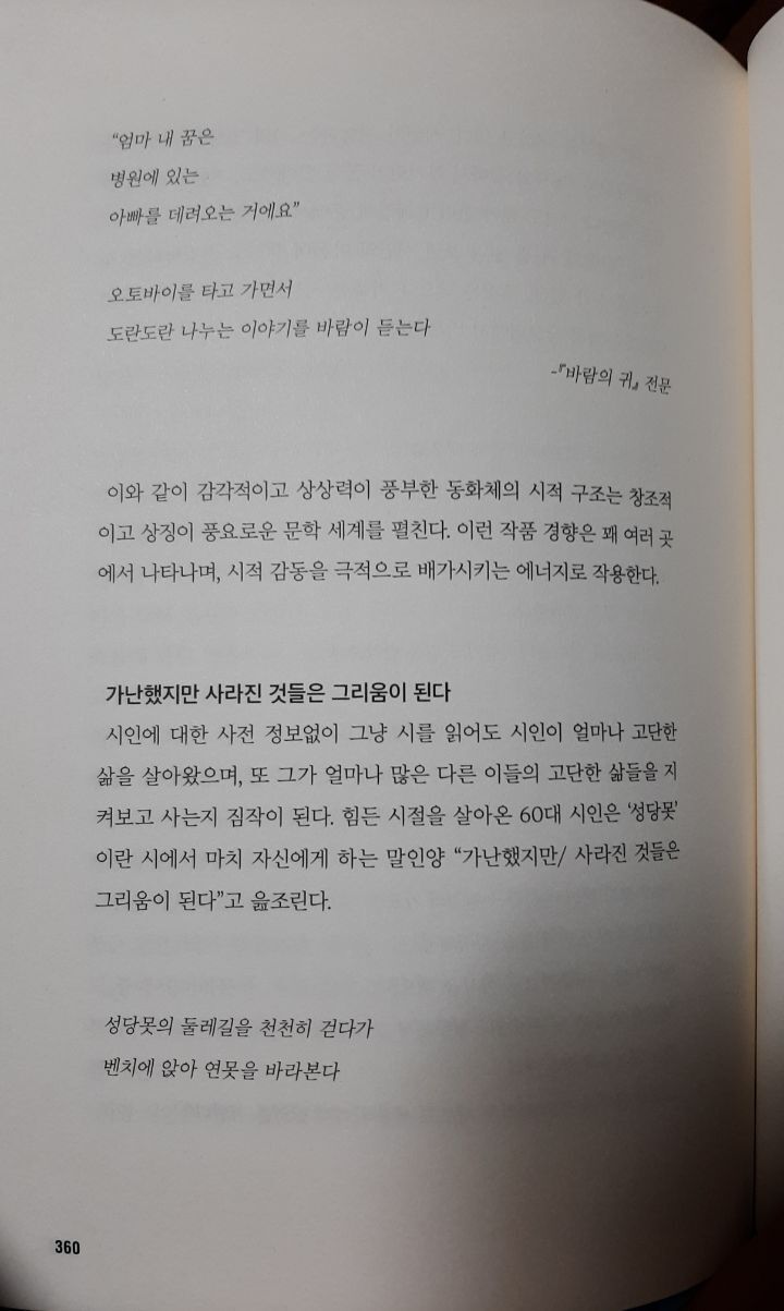 비파악기 이미지