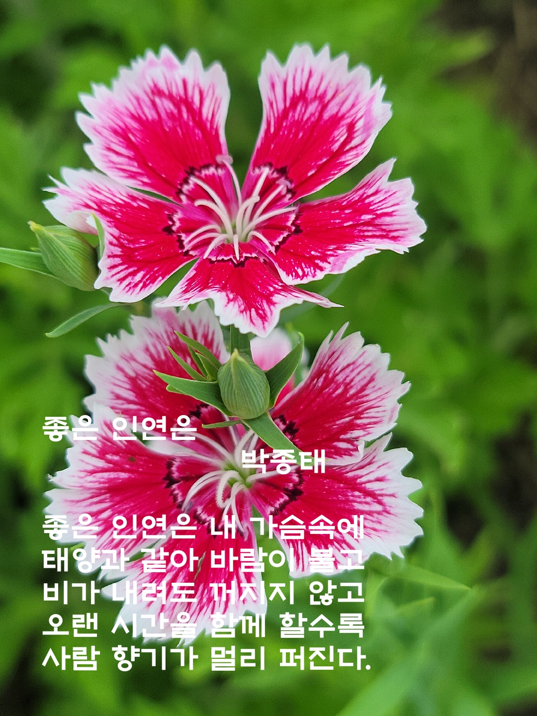 좋은인연 이미지