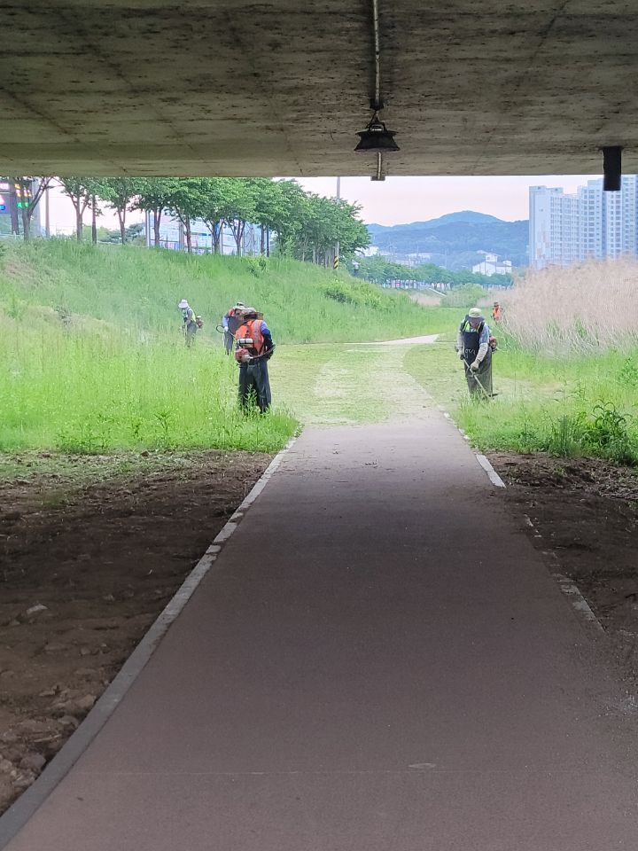 예초가 이미지