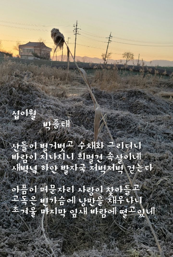 십이월 이미지