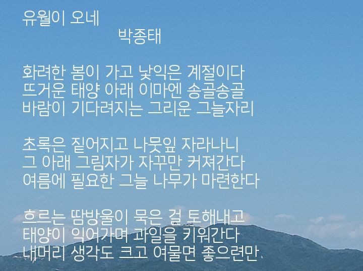 과일이오네 이미지