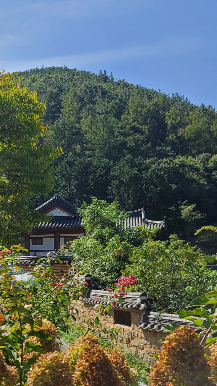 오성사 이미지