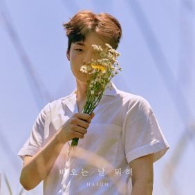 음악이흐르는소나기 이미지