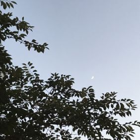작야 이미지