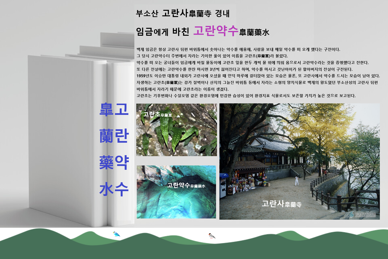 고란 이미지