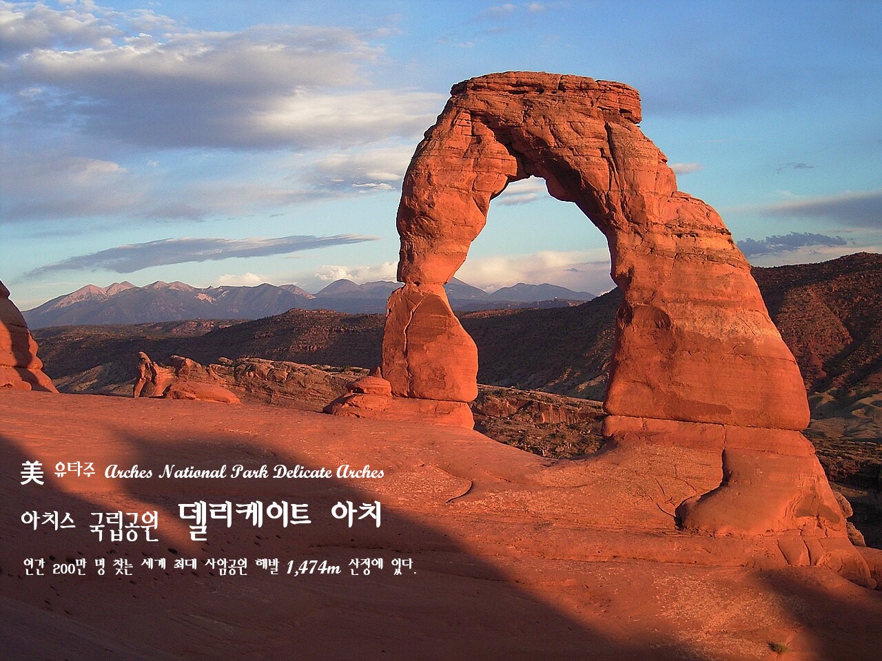 델리케이트 이미지