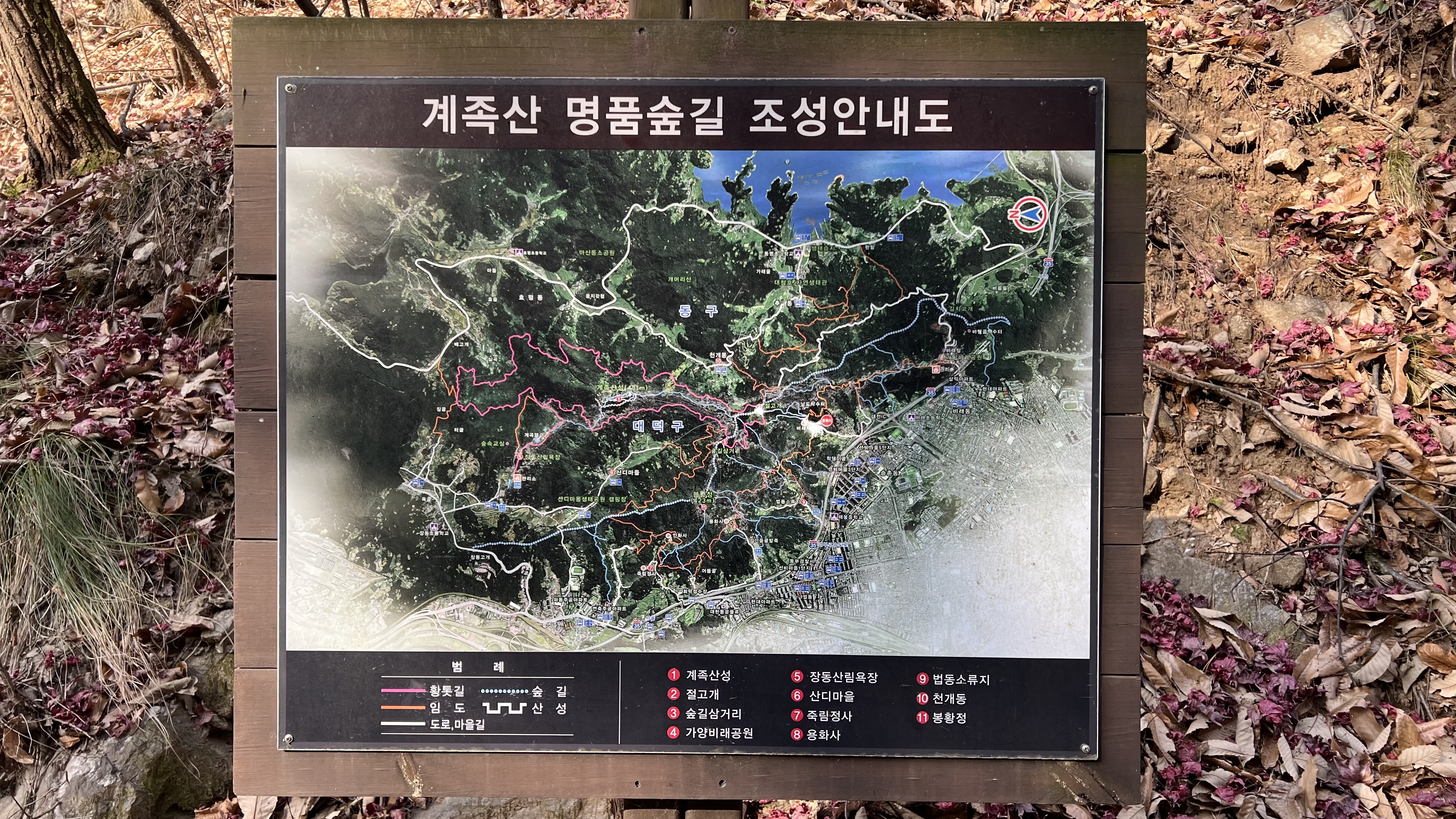 길조 이미지
