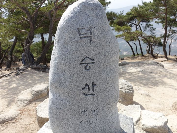 리시오 이미지