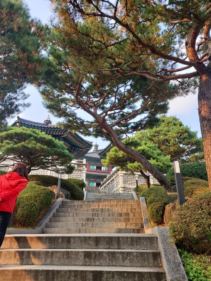 박순자 순대 이미지