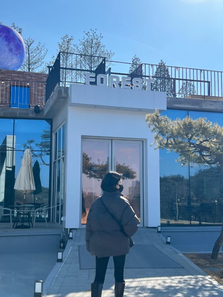 데일리브라운 이미지