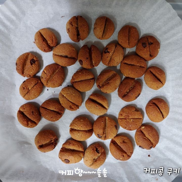 커피콩 이미지