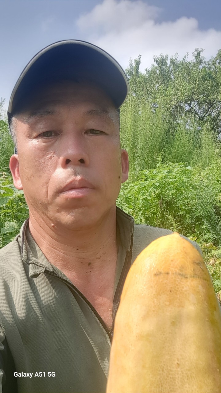 강원농산물 이미지