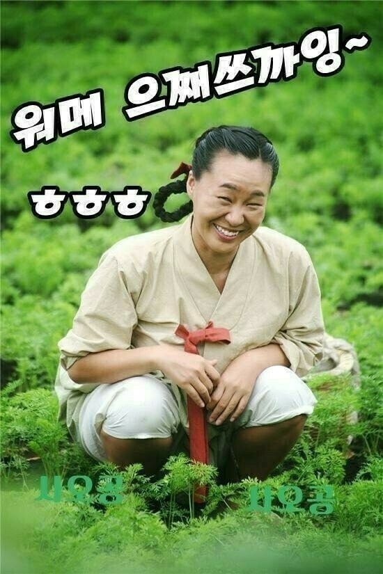 하이소 이미지