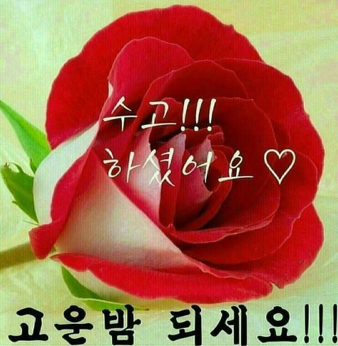 복이 이미지
