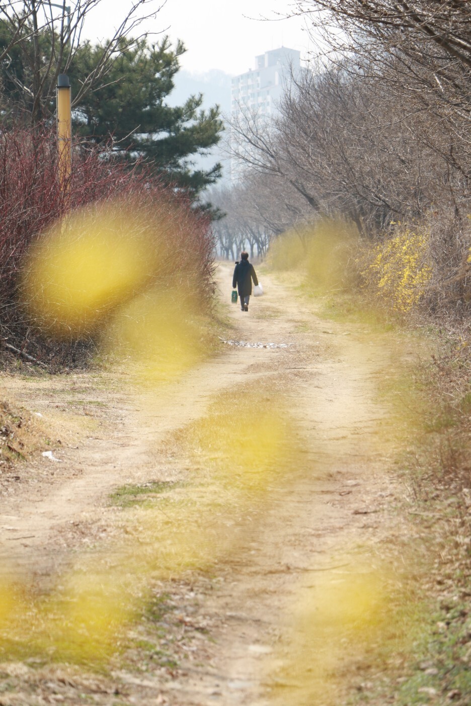 도경 이미지