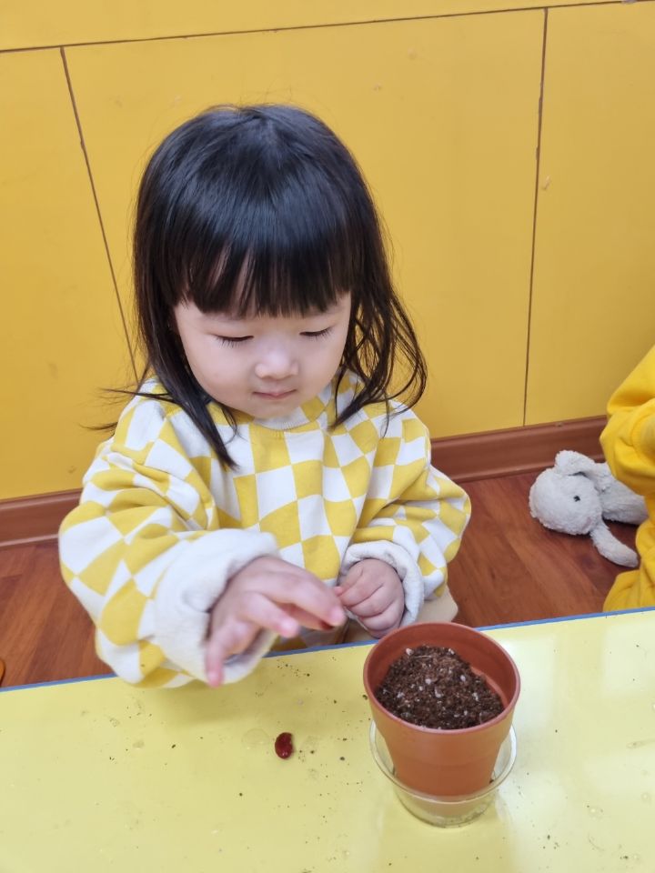 씨씨씨 이미지