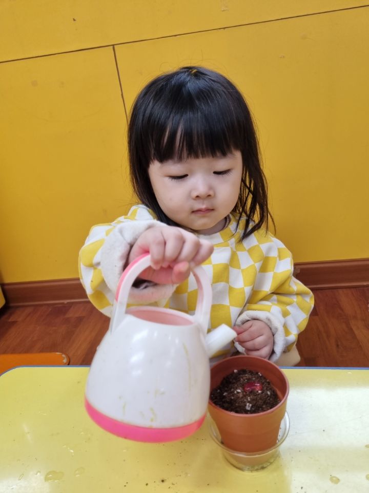 씨씨씨 이미지
