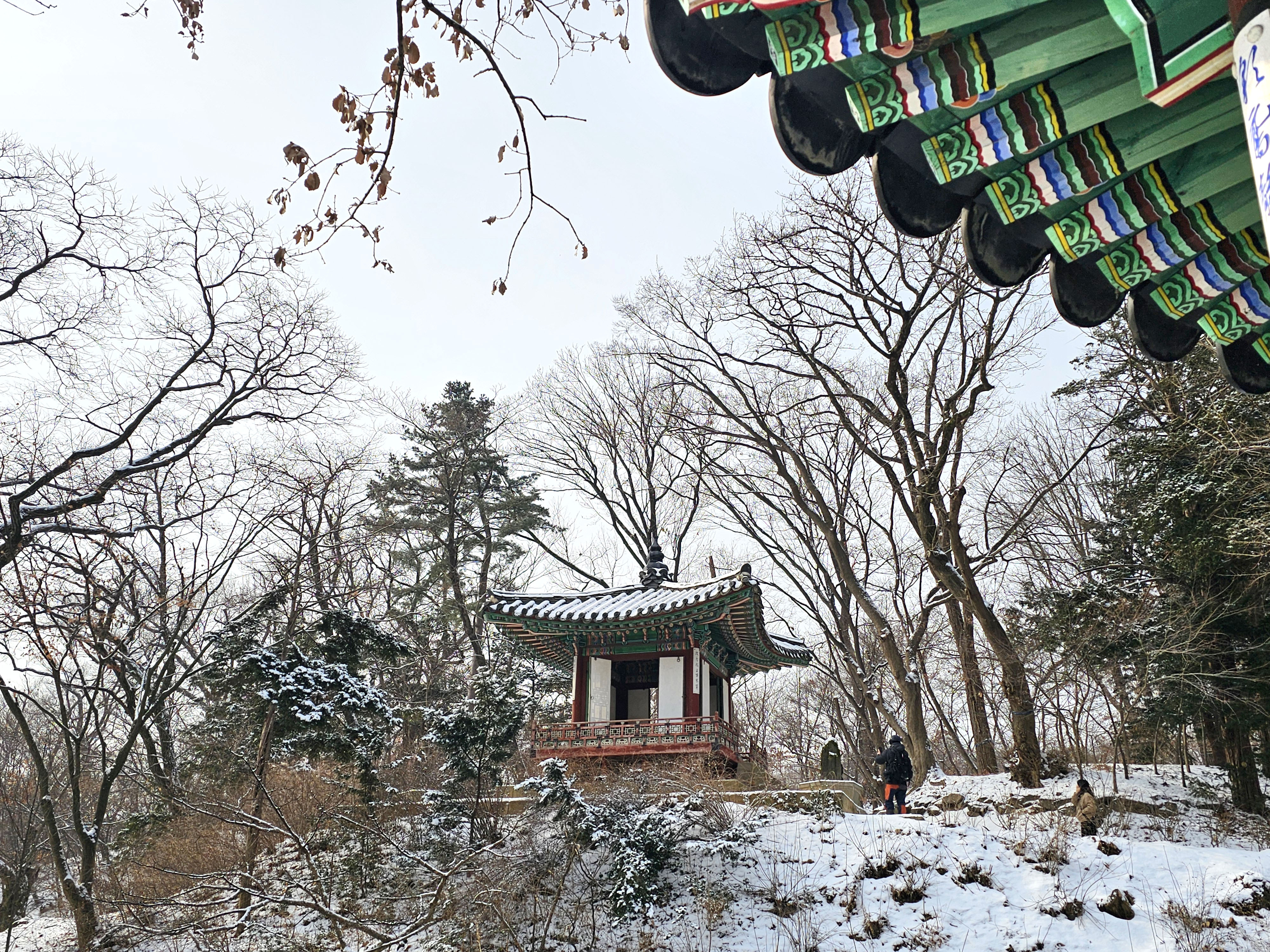 비원 이미지