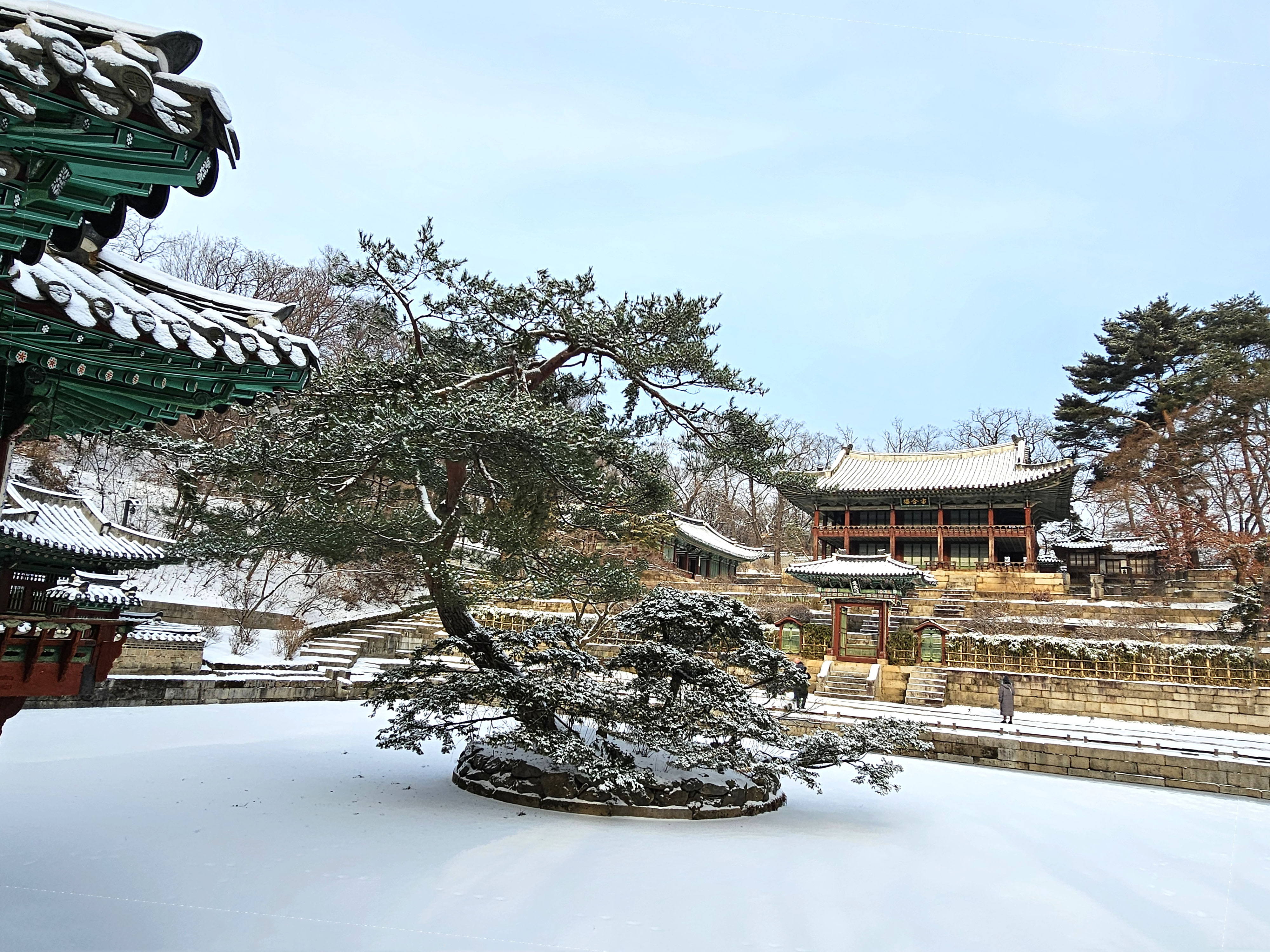 비원 이미지