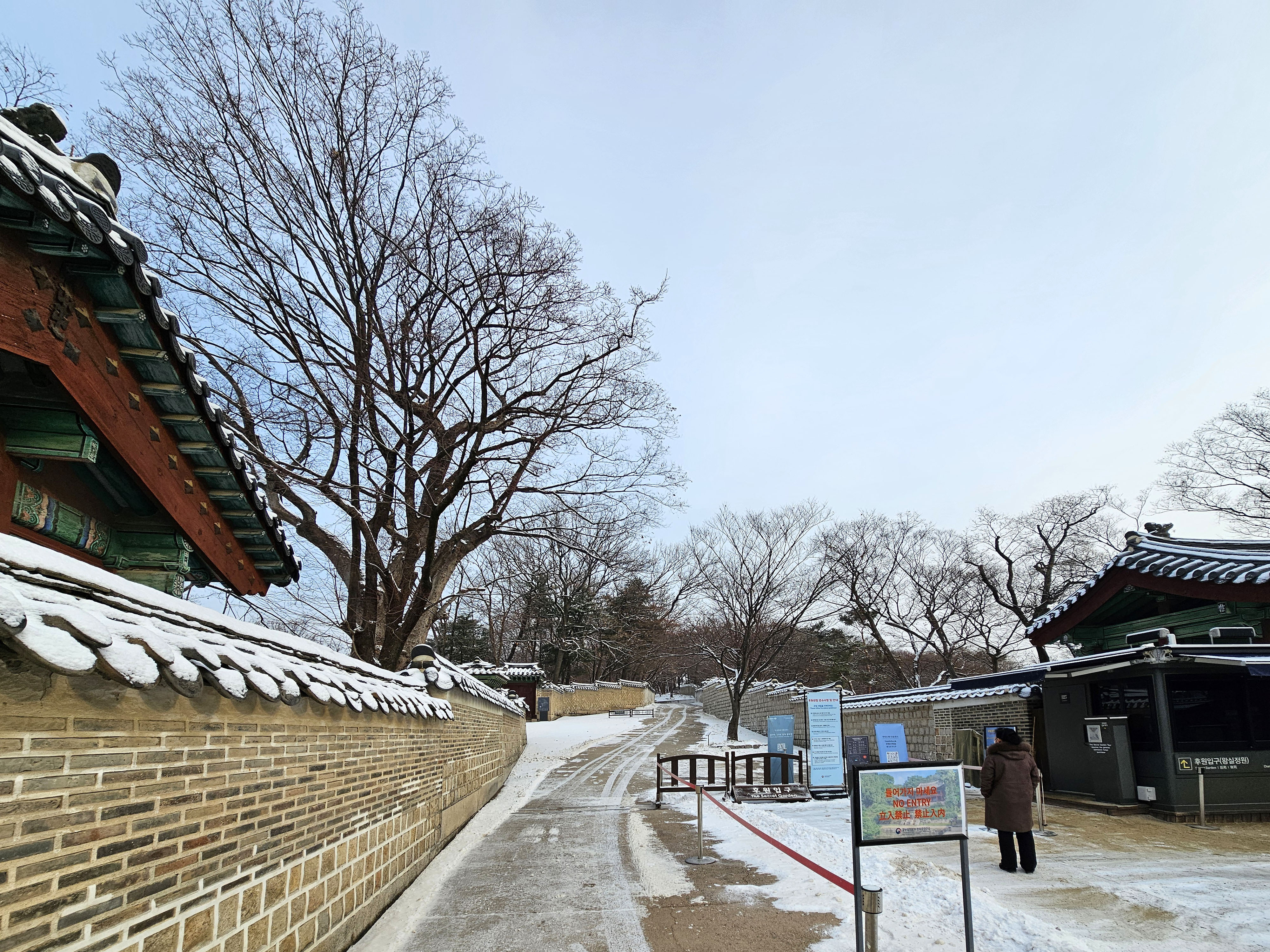 비원 이미지