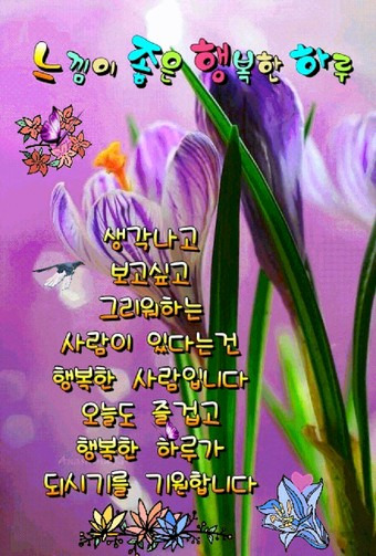 느낌 이미지