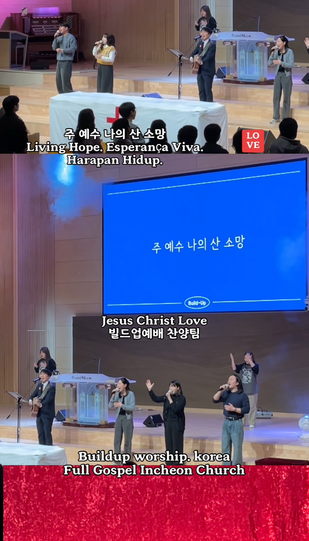 (주)사자네 이미지