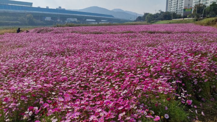 병점주유소 이미지
